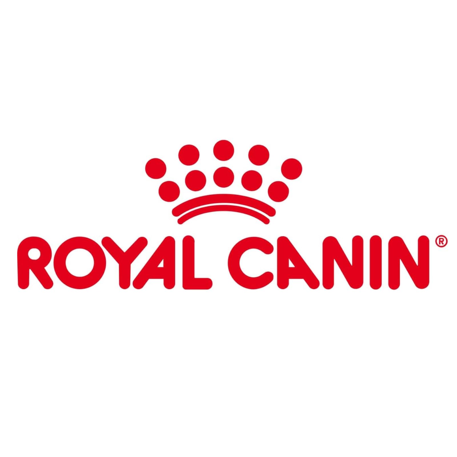 Royal Canin Second Age Kitten Food, 400 Grams, Dry Food containing Antioxidants with no artificial colors & flavors, Supports Brain Development & Microbiome, Promotes a strong Immune System image 2