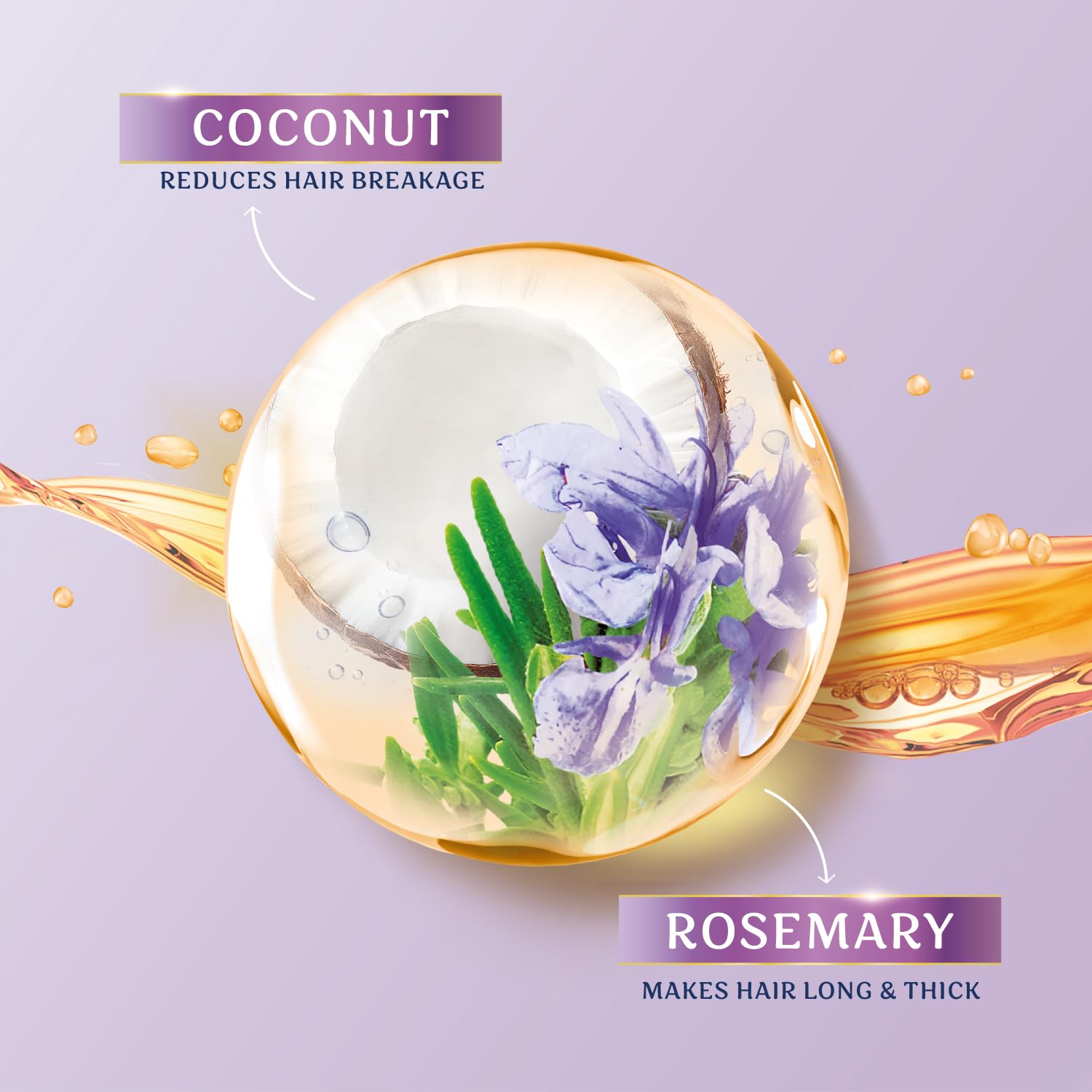 Parachute Advansed Rosemary-enriched Coconut Hair Oil| Rosemary Hair Oil| Superfoods Magic| Long & Thick Hair|300 Ml image 3