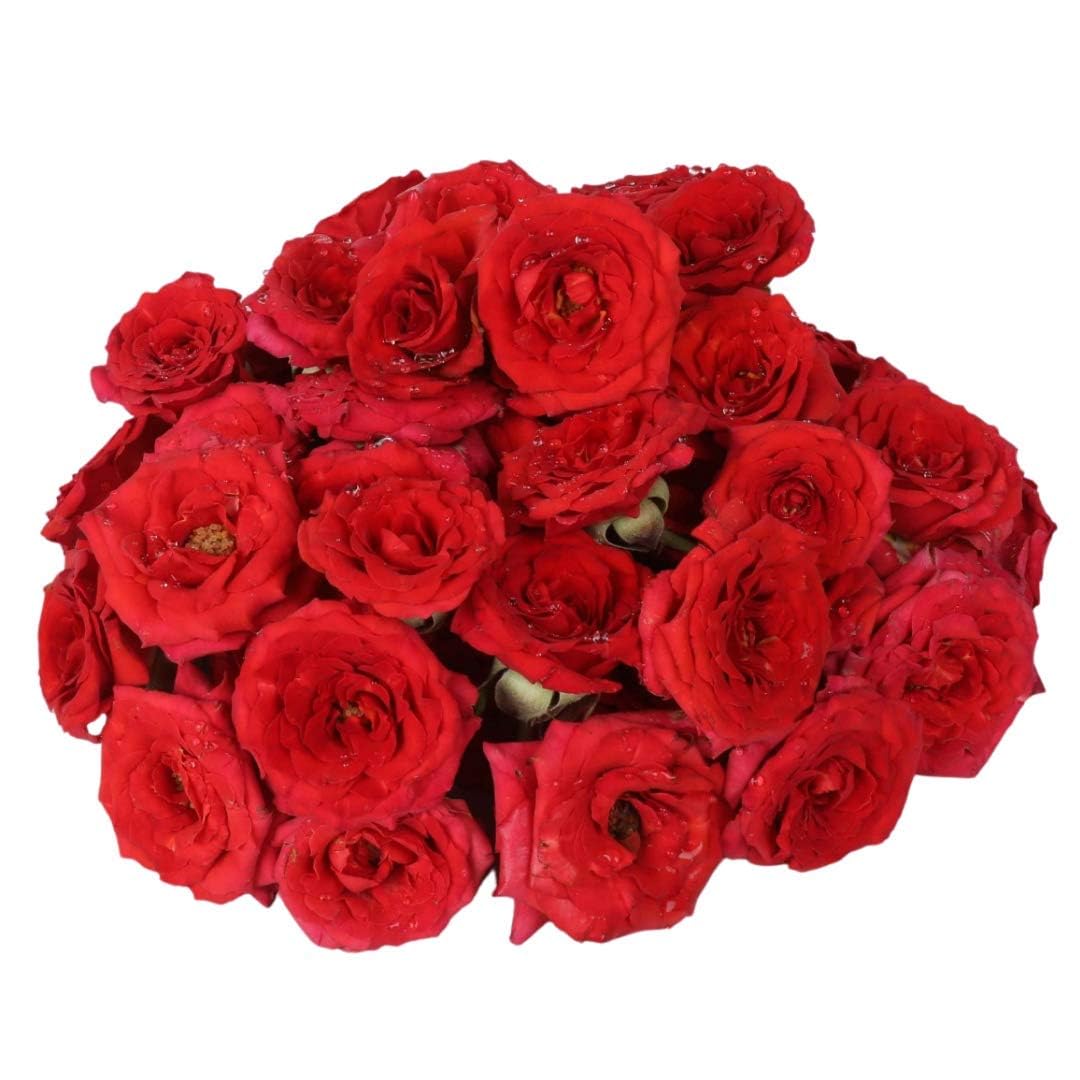 Fresh Assorted Roses (Button Roses), 100g image 2