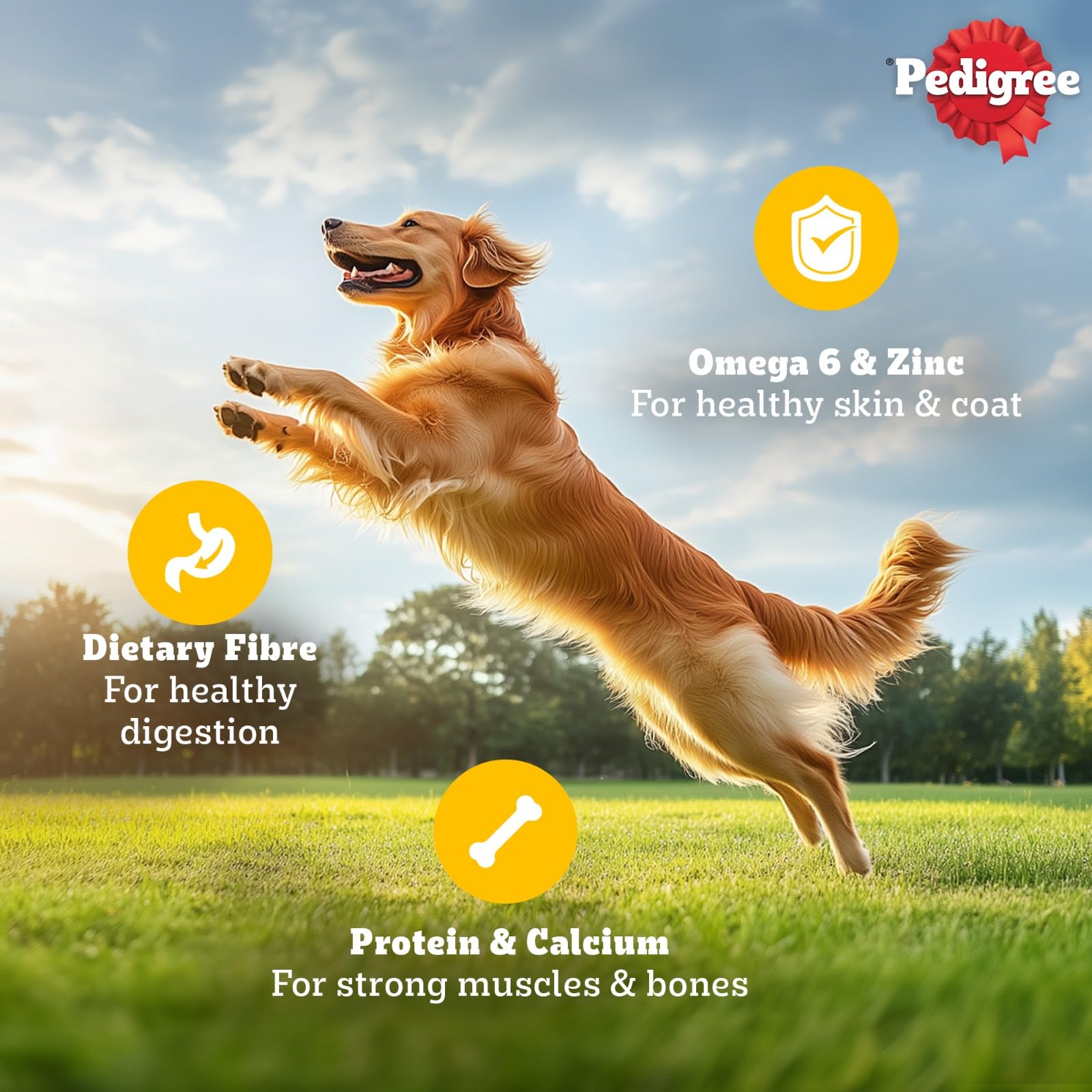 Pedigree Adult Wet Dog Food, Chicken & Liver Chunks in Gravy, 70 g (Pack of 30), Complete & Balanced Meal for Adult Dogs image 5