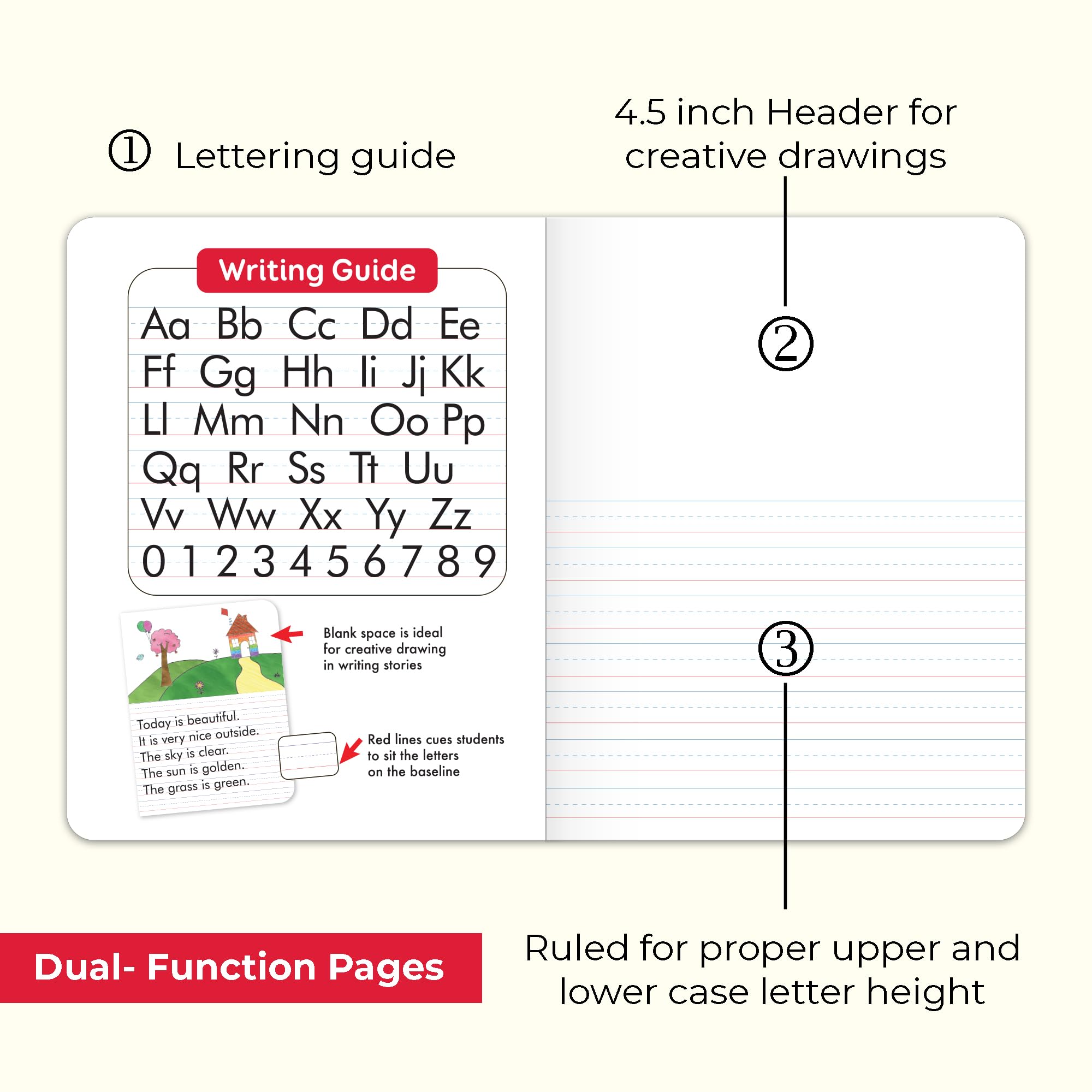 BAZIC Primary Journal Composition Book Marble, 100 Sheet Drawing & Writing Grades K- 2 Notebook Journal Comp Notebooks for Kindergarten School, 48-Pack image 3
