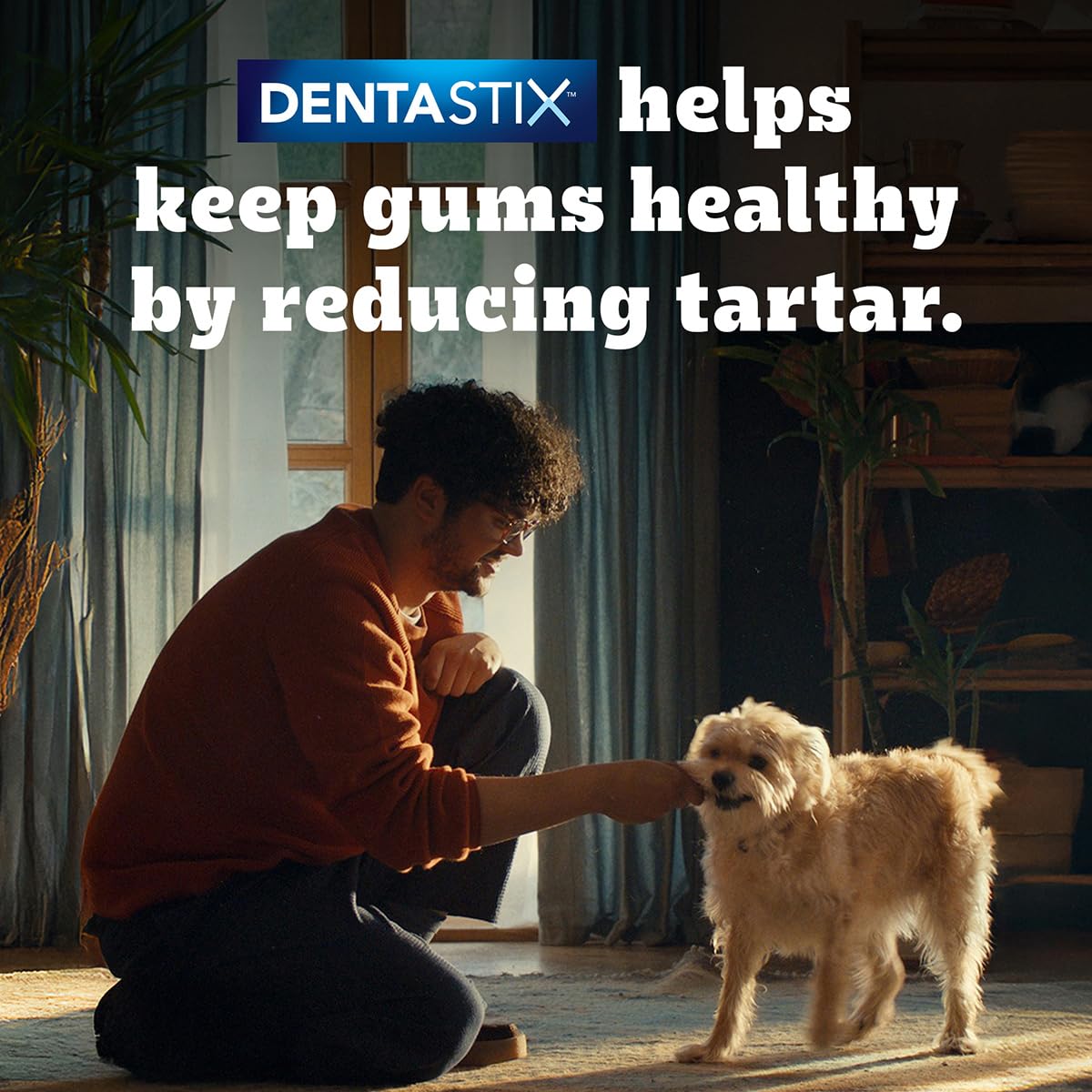 Pedigree Dentastix Oral Care Dog Treat, Adult Large Breed (25+ kg), 1.08 kg, Recommended by Vets, Supports Gum Health, Reduces Risk of Gum diseases image 3