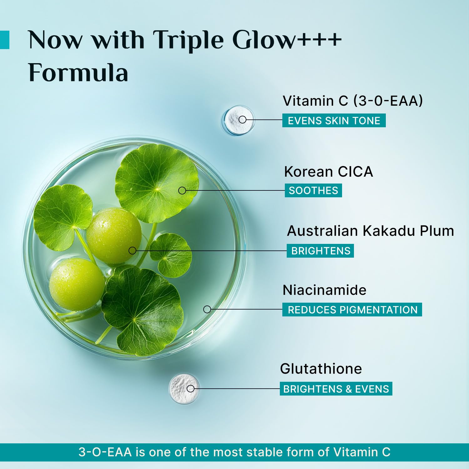 Pilgrim 10% Vitamin C Serum 30ml for Glowing Skin|With 5% Niacinamide, Hyaluronic & Glycolic Acid|Fades Dark Spots, Pigmentation|For All, Oily, Combination, Normal Skin |Beginner Friendly - Men, Women image 5