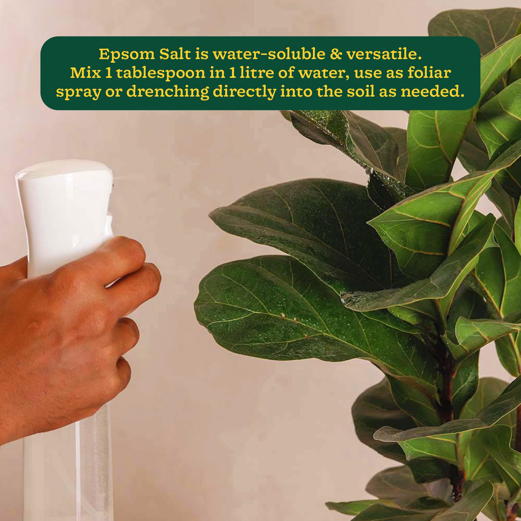 Ugaoo Epsom Salt for Plants Growth - Magnesium Sulphate Organic Fertilizer - 1 Kg |Powder image 5