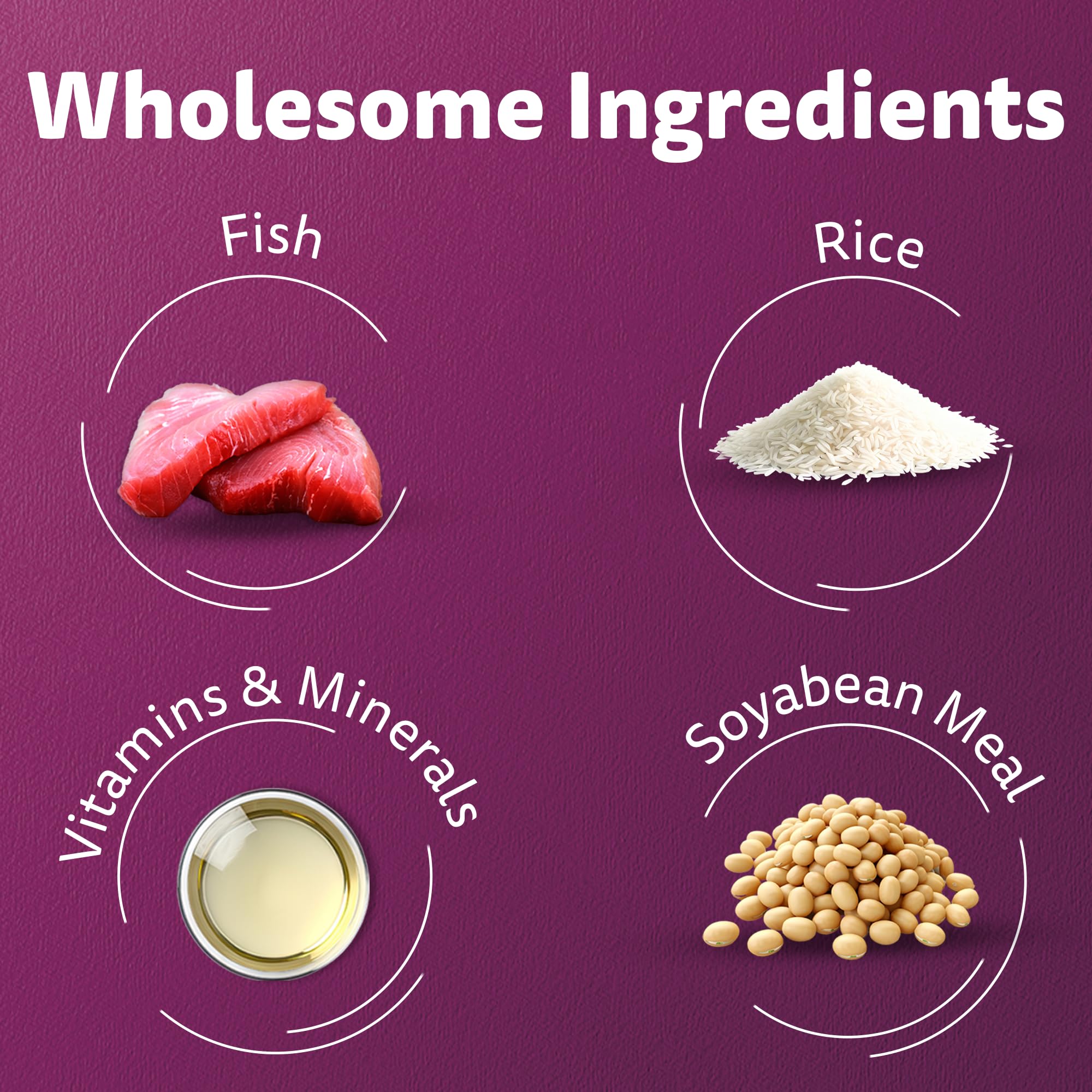 Whiskas Adult (1+ Years) Dry Cat Food, Ocean Fish Flavour, 3 kg, Contains 41 Essential Nutrients, Complete & Balanced Nutrition for Adult Cats image 5