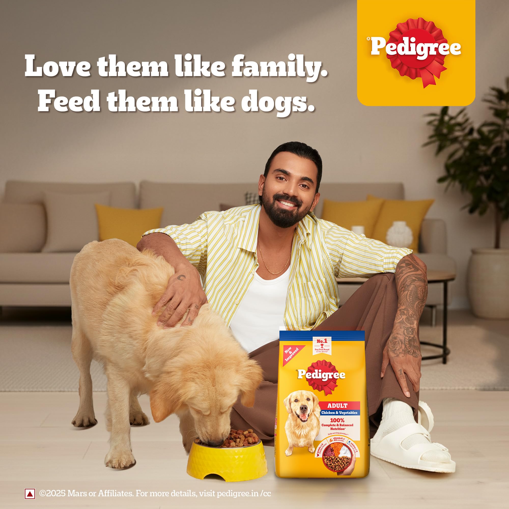 Pedigree Adult Dry Dog Food, Chicken & Vegetables, 3 kg, Contains 37 Essential Nutrients, 100% Complete & Balanced Food for Adult Dogs image 4