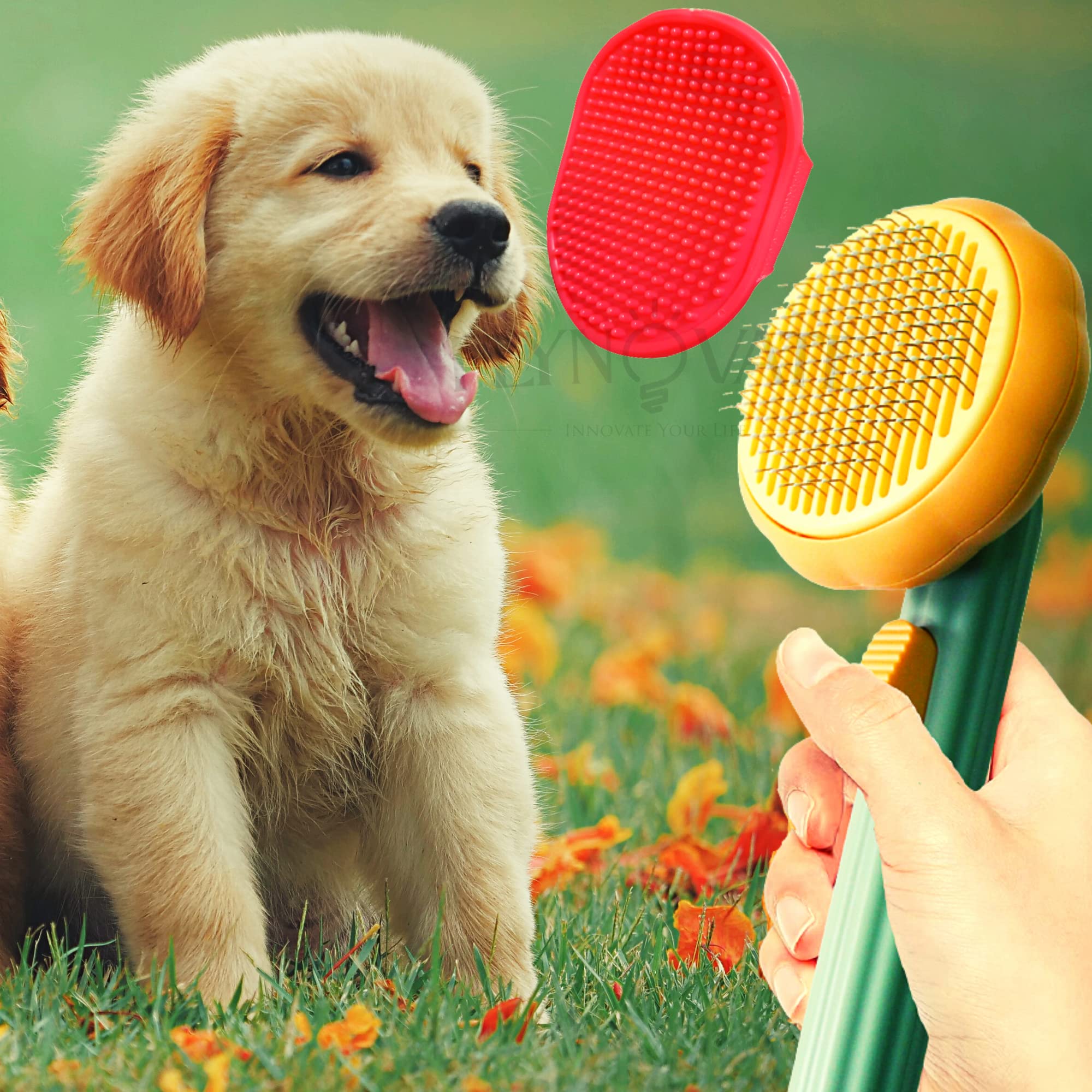 Flynovate Self Cleaning Dog Comb & Cat Comb - Pet Hair Remover Grooming Comb with Switch & PAIN - FREE Slickers | Deshedding Dog Brush & Cat Brush To Gently Massage The Pets with FREE Bath Brush image 2
