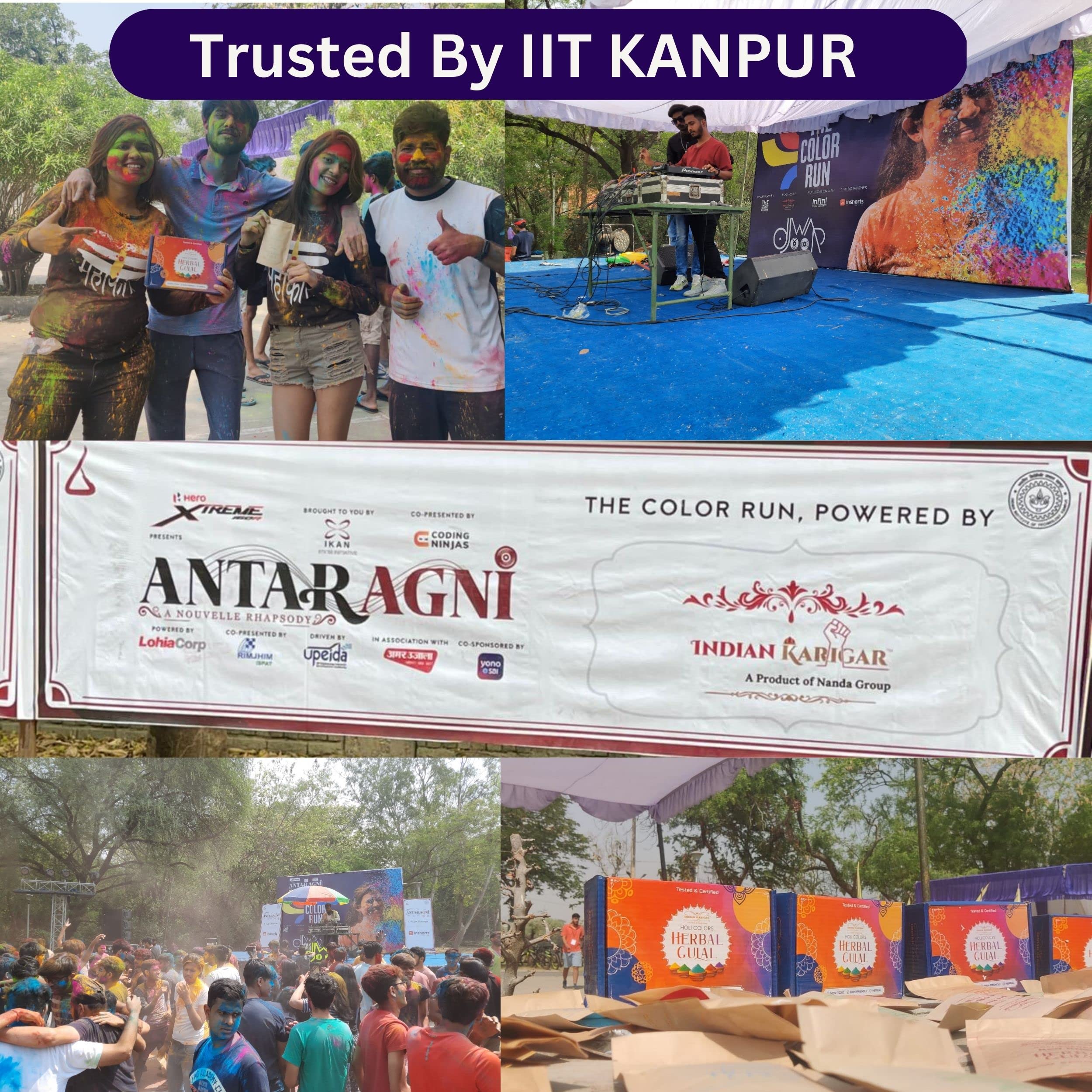 Starch Holi Gulal for Holi Colour 480g 6 Flavor × 80g Herbal Gulal Organic Holi Colours for Family Non Toxic Holi Color Organic Skin Safe Holi Colors Holi Gifts Pack of 6 Multicolor image 5